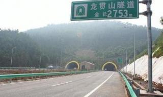 成自泸赤高速公路图